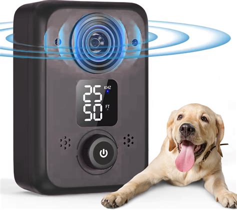 lapdog anatomik media|Lapdog (2024) .